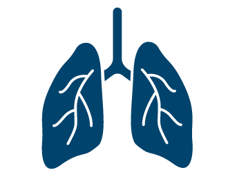 An icon of a lung, representing respiratory